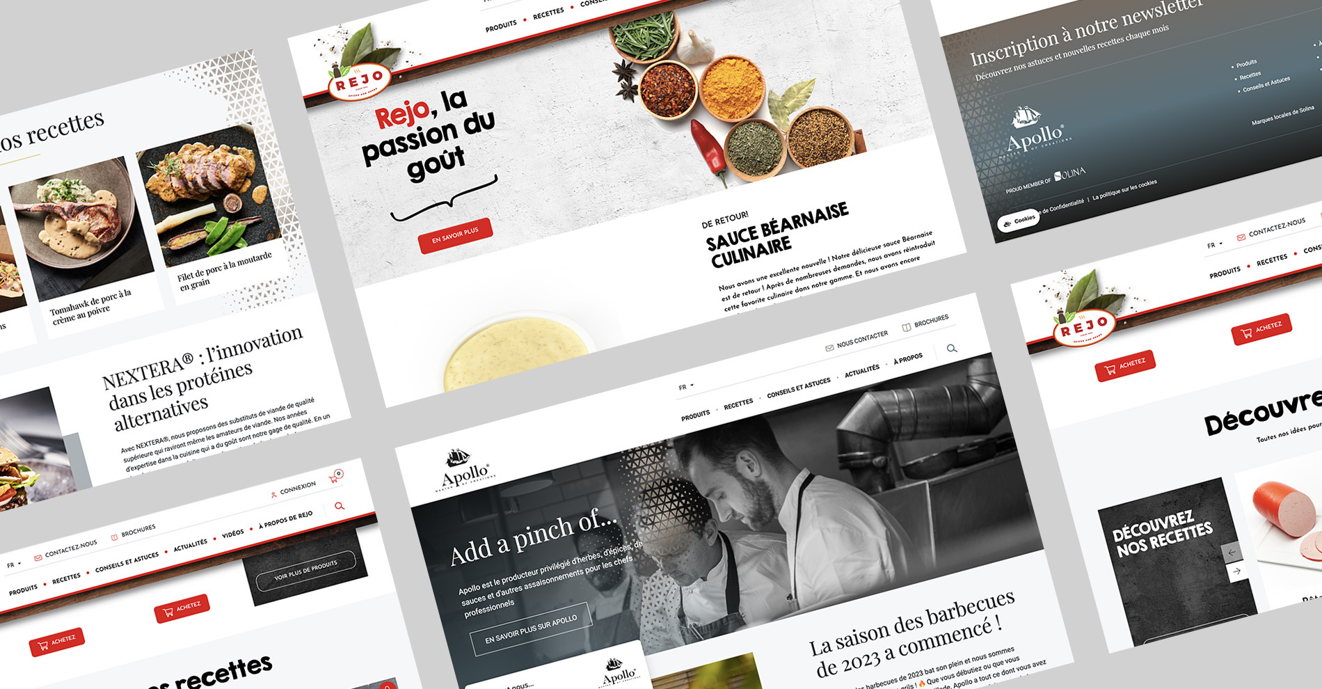 Mockup du site internet de Solina